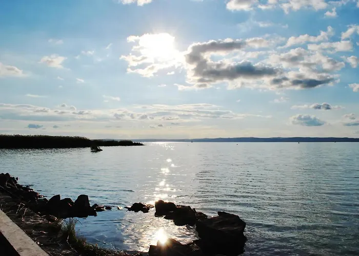 Endretro シオーフォク